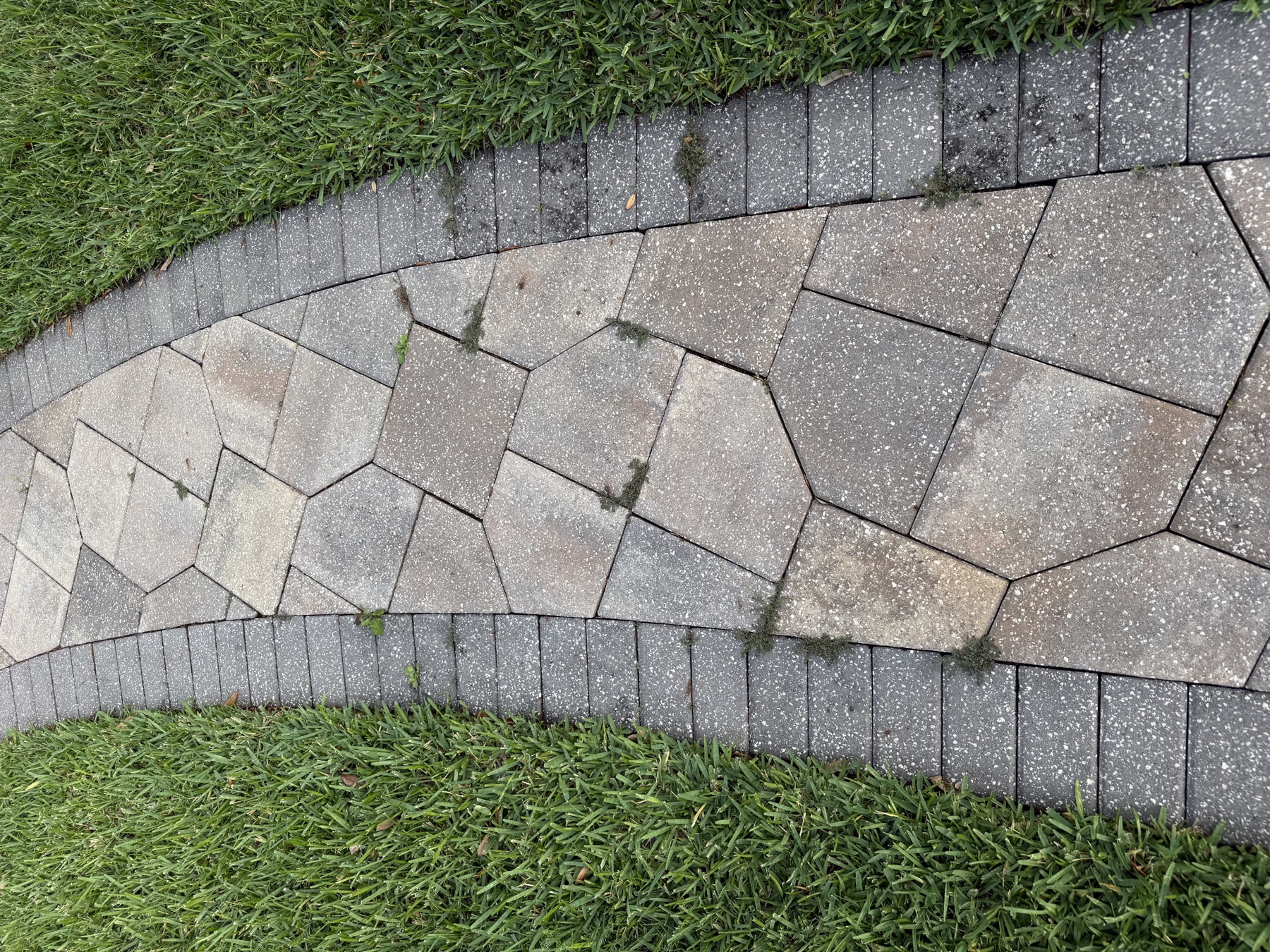 Walking path after restoration